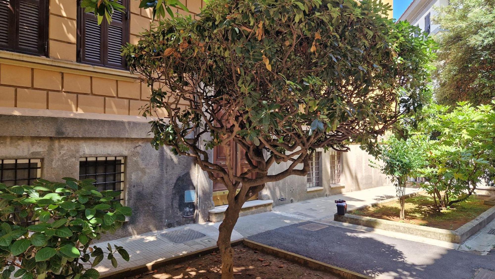 Borghese Magnolia Apartment *